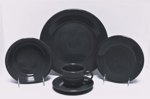 Fiesta® Slate 5 Piece Place Setting w/Cup & Saucer